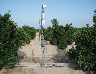Sensores 5TE (salinidad, temperatura y humedad), y 10 HS (humedad) de Decagon instalados en el suelo de una parcela, y conectados a un datalogger