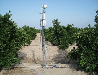 Sensores 5TE (salinidad, temperatura y humedad), y 10 HS (humedad) de Decagon instalados en el suelo de una parcela, y conectados a un datalogger