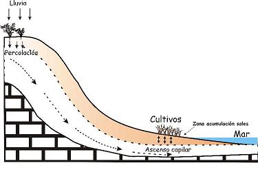 Factores topogrficos de forma