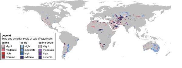 Mapa de afectacin de salinidad mundial (Wicke et al 2011)