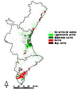 Niveles de salinidad de los suelos de regado