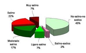 Porcentaje de rea de los niveles de salinidad de los suelos de regado