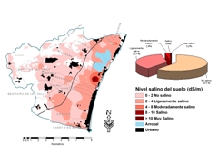 Salinizacin de los suelos de regado de la vega baja del rio Palancia