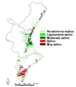 Estado de la salinizacin de los suelos de regado